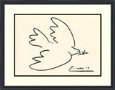 Dove of Peace