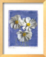 Cosmos on Blue I