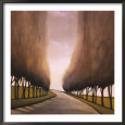 Forest Road I Scenic Streets & Roadways