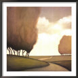 Forest Road II