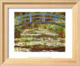 Water Lily Pond