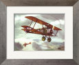 Sopwith Camel, 1917