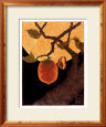 Moon, Persimmon and Moth