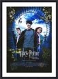 Harry Potter and the Prisoner of Azkaban - Cast (International)