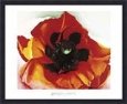 Poppy