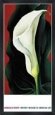 Single Lily with Red