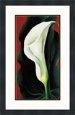 Single Lily with Red