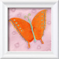 Psychedelic Butterfly