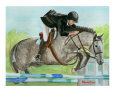 Grey Horse Jumping