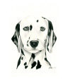 Charles