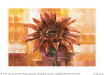The eye of the flower