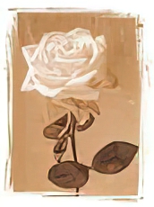Basic Flowers III