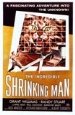 The Incredible Shrinking Man