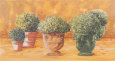 Pots et Buis II