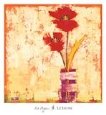 Fat Poppies II