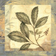 Leaf Botanicals III