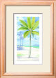 Palm Island II