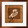 Golden Orchid II