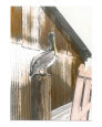 Pelican Art on the Verge Animals