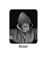 Hooded Boxer