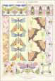 Decorative Arts