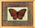 Butterfly III