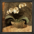 Serene Orchids I