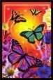 Butterfly Garden
