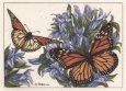 Monarch Butterfly Bugs & Insects Butterflies & Moths