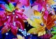Maple Leaves and Elderberries