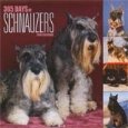 Schnauzers - 365 Days