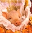 Cute Piglets