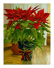Christmas Flower