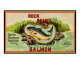Pacific Salmon