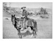 The American Cowboy