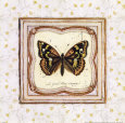 Butterfly I