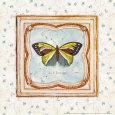 Butterfly II
