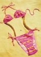 Bikini SUBJECTS Costume & Fashion