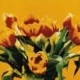 Bunch of Tulips