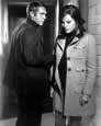 Bullitt