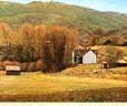 Springtime in Peterson