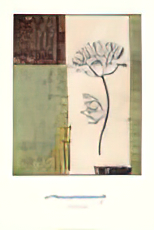 Poppy III