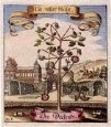 German Botanical  Pl 393