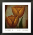 Floreo III