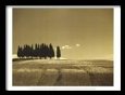 Tuscan Landscapes I