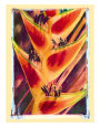 Heliconia