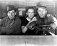 They Drive By Night