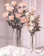 Layman-Peach Elegance