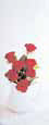 Matthews-Lace & Red Roses