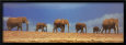 African Elephant Herd, Kenya
